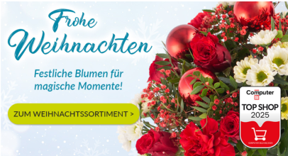 Blumenshop – Blumen und Pflanzen – Weihnachts – Angebote bis zu 30% Rabatt!