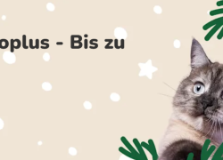 Zooplus – Ho-Ho-Hol dir die besten Deals – bis zu 30% Rabatt!