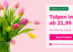 123Blumenversand – Blumenangebote mit über 48% Rabatt!