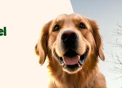 FRESSNAPF – 15% Rabatt auf ausgewählte Artikel ab 39€!