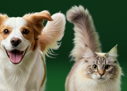 Fressnapf – Aktuelle Fressnapf Aktionen & Angebote – bis 20% Rabatt auf ausgewählte Artikel!