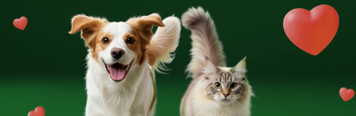 Fressnapf – Aktuelle Fressnapf Aktionen & Angebote – bis 20% Rabatt auf ausgewählte Artikel!