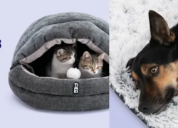 ZooPlus – Top Zubehör zum Sparpreis – bis 40% Rabatt!