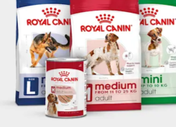 Zooplus – Hol dir die besten Deals – bis zu 30% Rabatt!