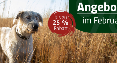 alsa-Hundewelt – Angebote im Februar – bis 25% Rabatt!