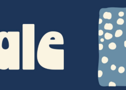 Winter Sale bei Blue Tomato – bis 70% Rabatt!