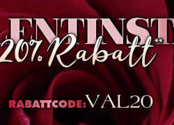 SinEros Erotikshop – Verlängerter Valentinstag mit 20% Rabatt!!