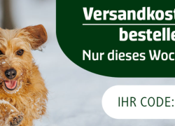alsa-Hundewelt – Angebote im Februar – bis 25% Rabatt + versandkostenfrei!