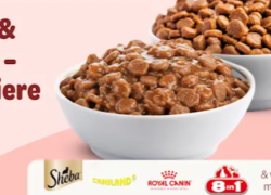 Zooplus – Hol dir die besten Angebote – bis zu 25% Rabatt!