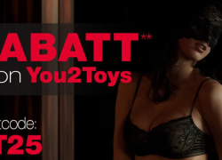 SinEros Erotikshop – 25% Rabatt auf die Toys von You2Toys!