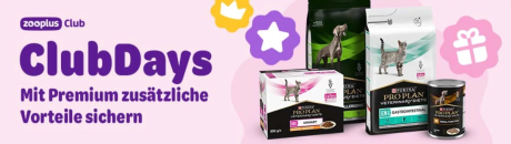 Zooplus – Hol dir die besten Angebote – bis zu 30% Rabatt!