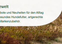 alsa-Hundewelt – Angebote im April – bis 18% Rabatt + versandkostenfrei!