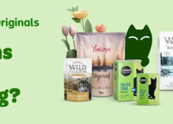 Zooplus – Hol dir die besten Angebote – bis zu 40% Rabatt!