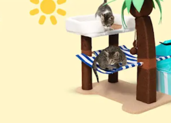 Zooplus – Sommer-Angebote – bis 25% Rabatt auf tierische Lieblingsprodukte + versandkostenfrei!