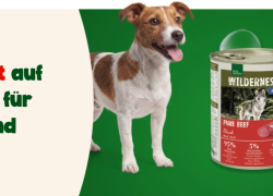 Fressnapf – 12% Rabatt auf Nassfutter für deinen Hund!