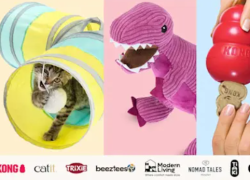 Zooplus – bis 40% Rabatt auf ausgewähltes Spielzeug!
