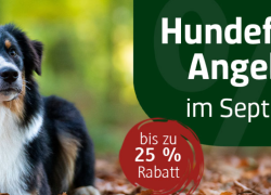 alsa-Hundewelt – Angebote im September – bis 25% Rabatt!