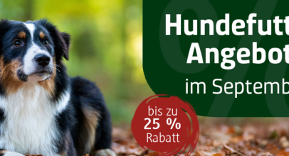 alsa-Hundewelt – Angebote im September – bis 25% Rabatt!