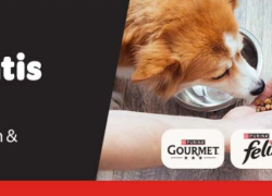 Zooplus – Purina-Angebote – bis 25% Rabatt auf tierische Lieblingsprodukte + versandkostenfrei!