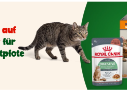 Fressnapf – 12% Rabatt auf Nassfutter für deinen Hund + weitere Angebote mit bis zu 20% Rabatt!