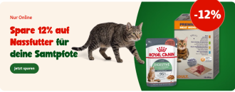 Fressnapf – 12% Rabatt auf Nassfutter für deinen Hund + weitere Angebote mit bis zu 20% Rabatt!