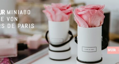 3 Ausgaben Glamour (Miniabo) 🌷 + Rose von Fleurs de Paris für 5,90€