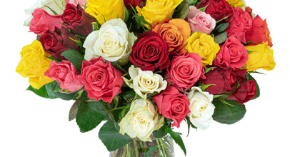 33 Rosen “Rainbow-Joy” für 24,98€ inkl. Versand oder 20% auf ALLES außer Deals!