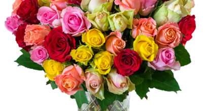 41 Rosen „Cyber Monday Special“ für 24,98€