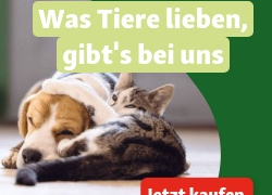 FRESSNAPF – bis 15% Rabatt auf Futter und Snacks!