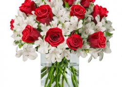 BlumeIdeal: 15 rote Rosen und 15 Inkalilien für 24,98€