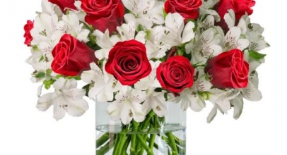 BlumeIdeal: 15 rote Rosen und 15 Inkalilien für 24,98€