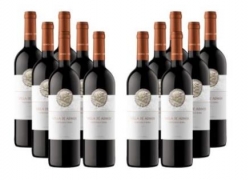 Weinvorteil: 12 Flaschen Villa de Adnos – Bobal-Tempranillo für 39,96€