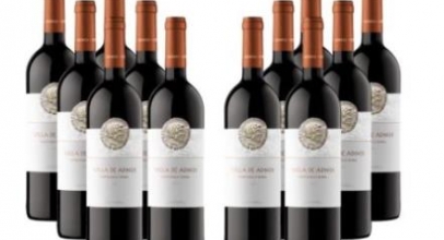 Weinvorteil: 12 Flaschen Villa de Adnos – Bobal-Tempranillo für 39,96€
