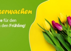 Technikangebote bei Comtech für den perfekten Start in den Frühling!