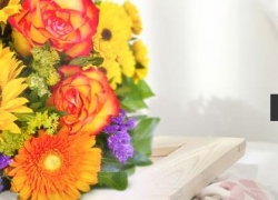 VALENTINS: 15% Rabatt auf alles – zum Tag der Freundschaft!