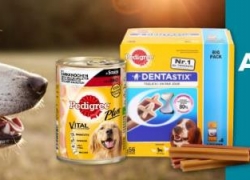 ZooRoyal: Bis zu 27% Rabatt auf Pedigree!