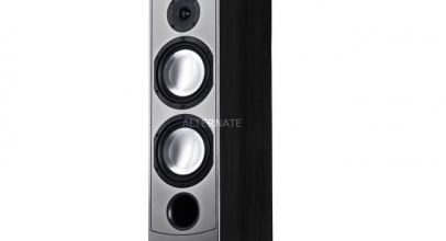 Canton GLE 490.2, Lautsprecher für 209€