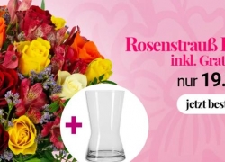BlumeIdeal: Aktion: 20% Rabatt zum „Tag der Freundschaft“