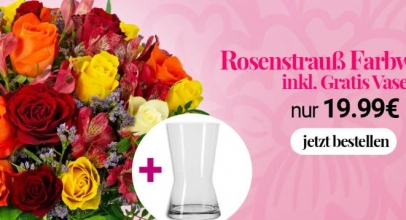 BlumeIdeal: Aktion: 20% Rabatt zum „Tag der Freundschaft“