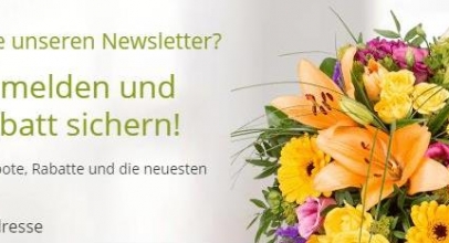 VALENTINS: 20% Rabatt bei Newsletter – Anmeldung!