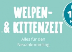 ZooRoyal: Bis zu 15% Rabatt auf Produkte für Welpen und Kitten!