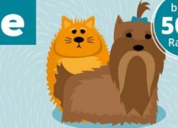 ZooRoyal: 50% Rabatt auf Pflegeprodukten!