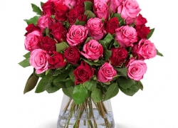 41 Pinke Rosen “Crazy in LOVE” für 24,98€ inkl. Versand