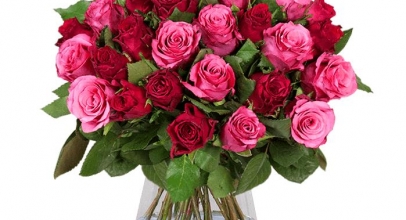 41 Pinke Rosen “Crazy in LOVE” für 24,98€ inkl. Versand