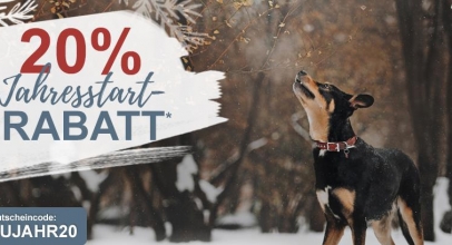 alsa-Hundewelt: 20% Jahresstart-Rabatt!