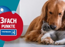 ZooRoyal: 3FACH PAYBACK Punkte auf das gesamte Sortiment!