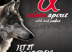 alpha-spirit.shop – Nährstoffreiches und natürliches Hundefutter – bis 20% Rabatt!