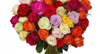 Blumenstrauß “Woman’s Day Roses” – 37 bunte Rosen für 22,99€