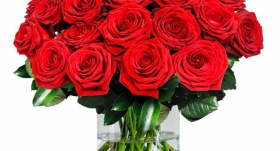 20 rote Premium-Rosen „Red Naomi“ für 19,98€