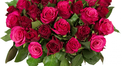 BlumeIdeal: 45 „RomanticRoses“ (50cm Länge) für 24,98€